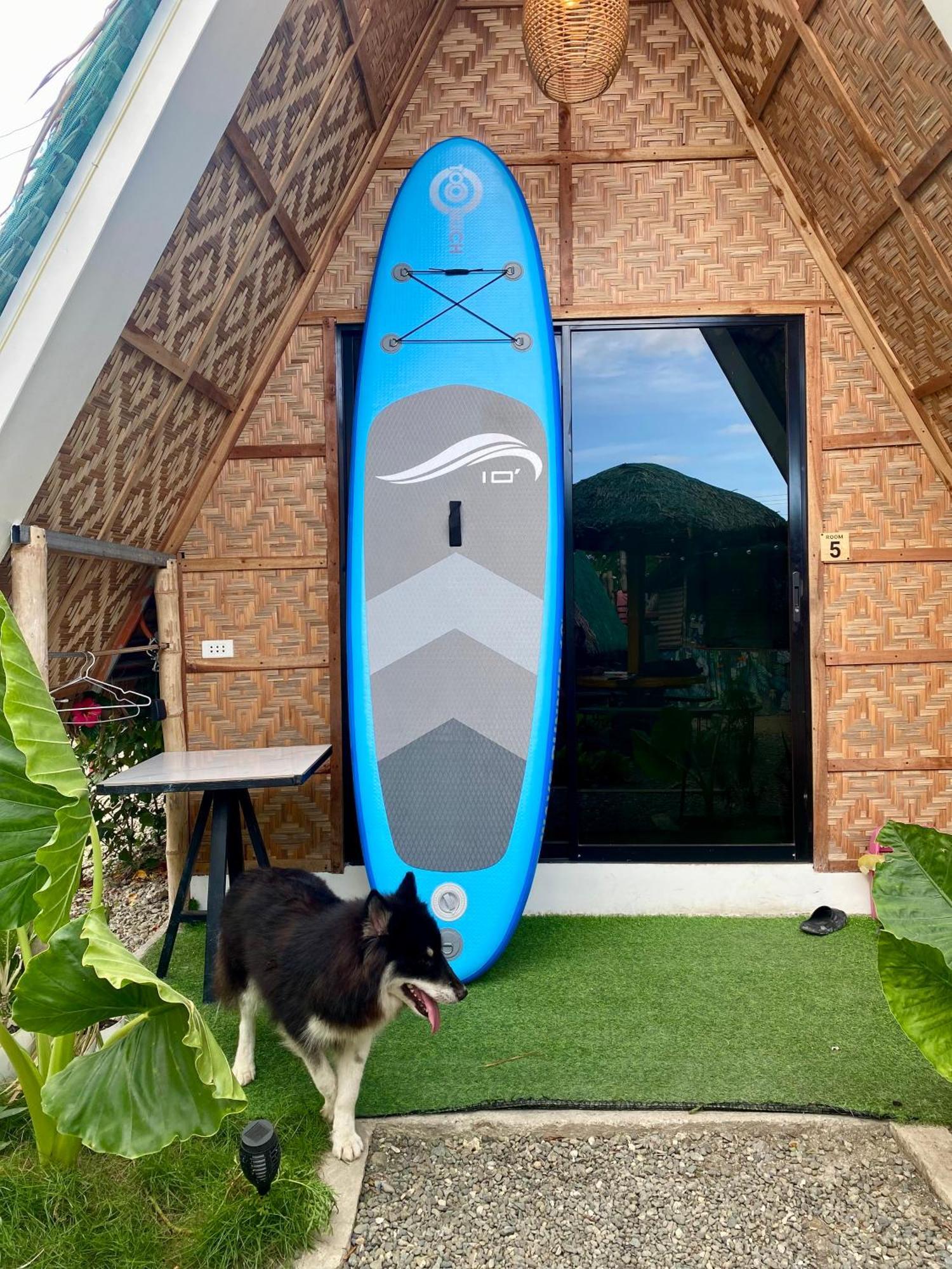 Moalboal Panagsama Beach Topbudz Hostel Eksteriør bilde